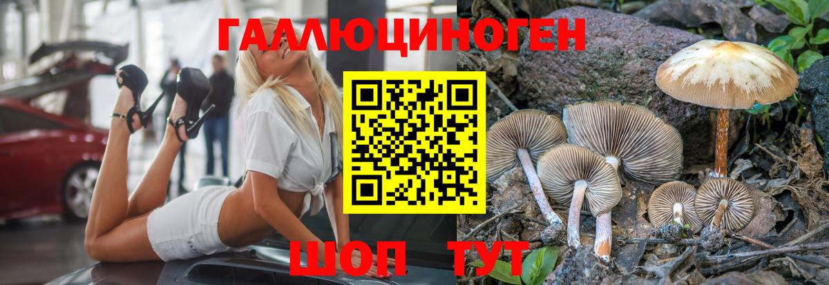 Псилоцибиновые грибы MAGIC MUSHROOMS Лесосибирск