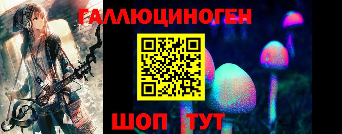 Лесосибирск  Галлюциногенные грибы Psilocybine cubensis  Вход с VPN 